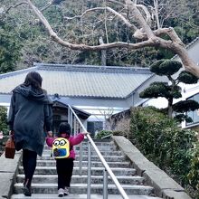 大洞院