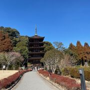 きれいに整備された日本庭園が、その美しさを引き立てています。