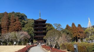 きれいに整備された日本庭園が、その美しさを引き立てています。
