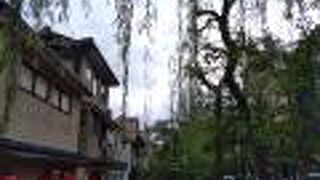 白川と新橋通に面する通り