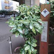 首都高速道路の下にある公園