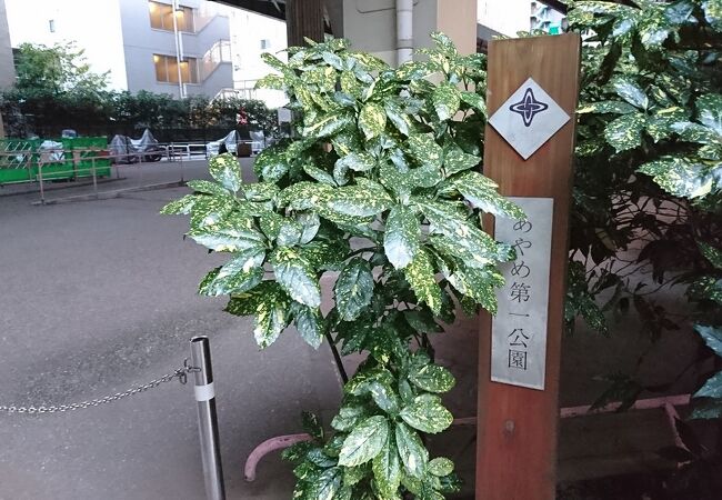 首都高速道路の下にある公園