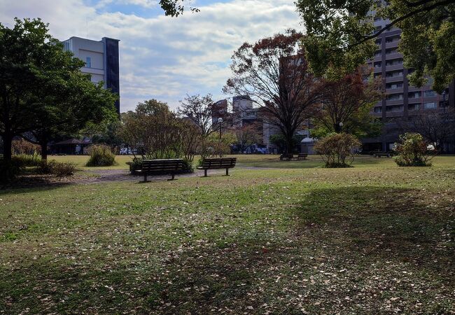 市民公園的な