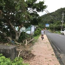 レンタサイクル