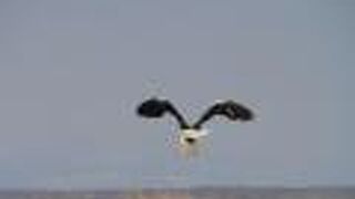 野付半島に行ったならまずはここでお勉強