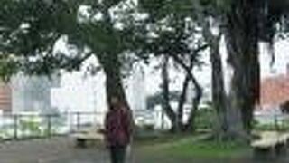 那覇市内の街並みを見渡す