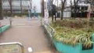 地元利用で賑わいのある公園