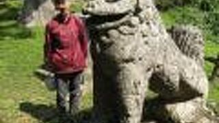 お顔はひょうきんで優しそう