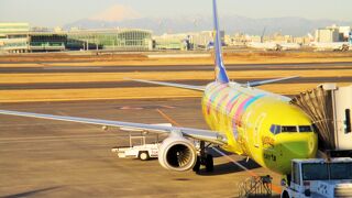 朝早く利用　羽田空港第1旅客ターミナル