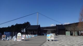 揺れない吊り橋です