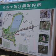 小松が池を中心とした公園