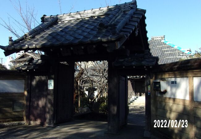 入り口を入ると桜の古木があります。