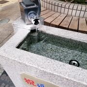 散歩にちょうど良い
