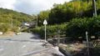 山頂の展望台に向かって立派な車道が付いています