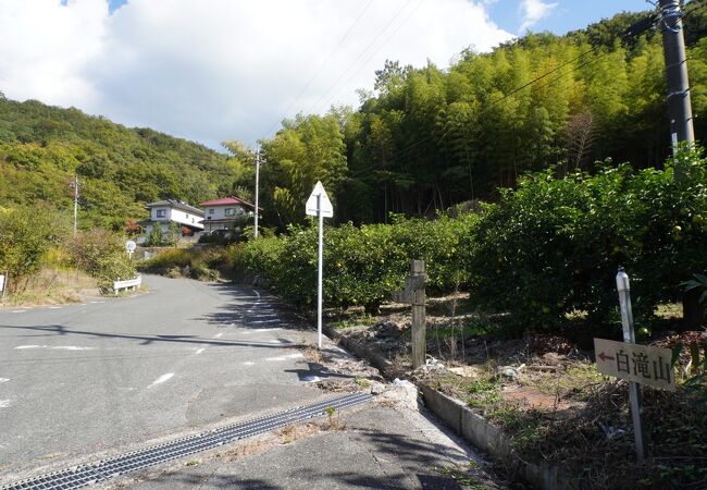 山頂の展望台に向かって立派な車道が付いています