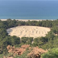 展望台から見た景色です