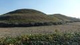 忍城・行田散策でさきたま古墳公園の中の二子山山古墳に行きました