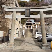 神社の社叢林が県の天然記念物