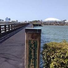 中央の大橋から体育館側をみた様子。とても長い大きな橋