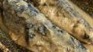 「いわしの糠炊き定食」をいただく！