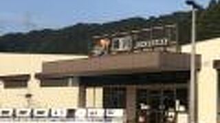 やや小ぶりだが充分。