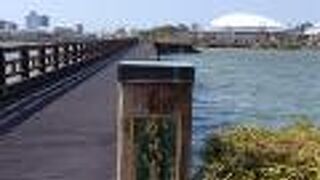 子ども連れで遊ぶには最適