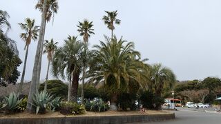 海と花を楽しめる公園