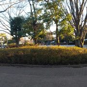 広めの公園