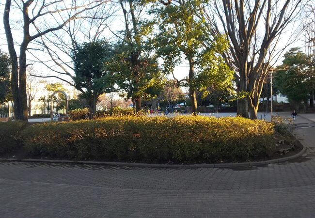 東部公園 クチコミ アクセス 営業時間 小平 西東京 フォートラベル