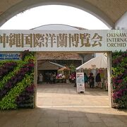 国際洋蘭博覧会に行きました