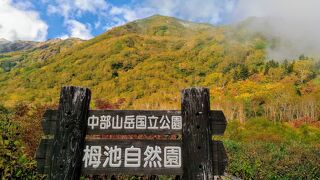 紅葉した湿原