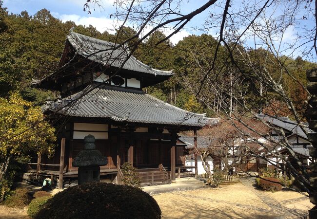 仁和寺の隣山です。