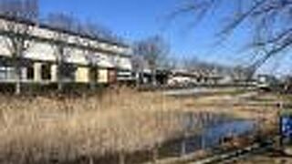 いずみ中央駅前の親水公園