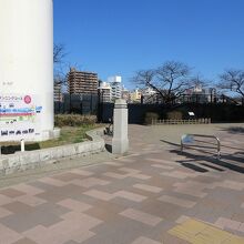 隅田公園(墨田区側)前から土手に上り…