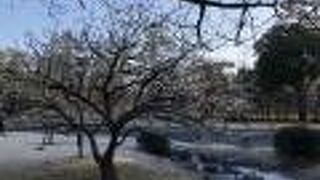 大好きなスポットです