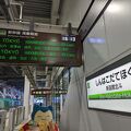 東北・北海道新幹線のコンパクトな終着駅。お土産やお弁当は函館駅など事前に買った方が無難