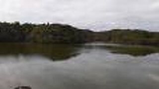 新池という池付近を散策しました