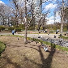 無機質な街中において、ちょっと心が和みます。