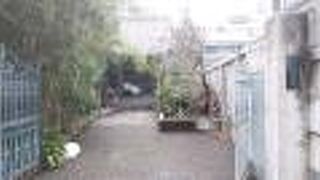 境内の緑が豊かな寺院