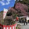 龍尾神社