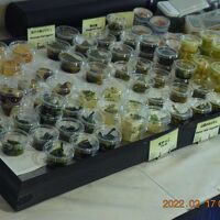 和物もバッチリ。