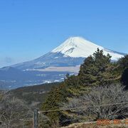 北条氏の最大級遺構の一つ。