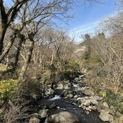 熱海梅園の真ん中を流れる川