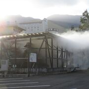 大規模な湯雨竹が見られます。