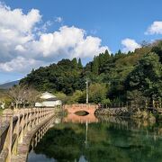 透き通る池！