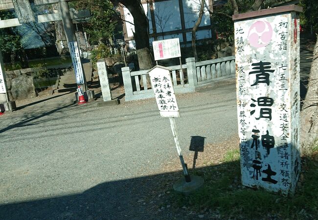 自然豊かな神社です。