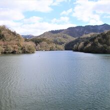 ダム湖（白椿湖）