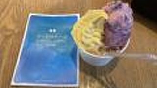 ウッドベリーズ 本店