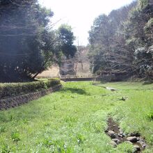 城山公園湿生園