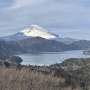 富士山と芦ノ湖を一望